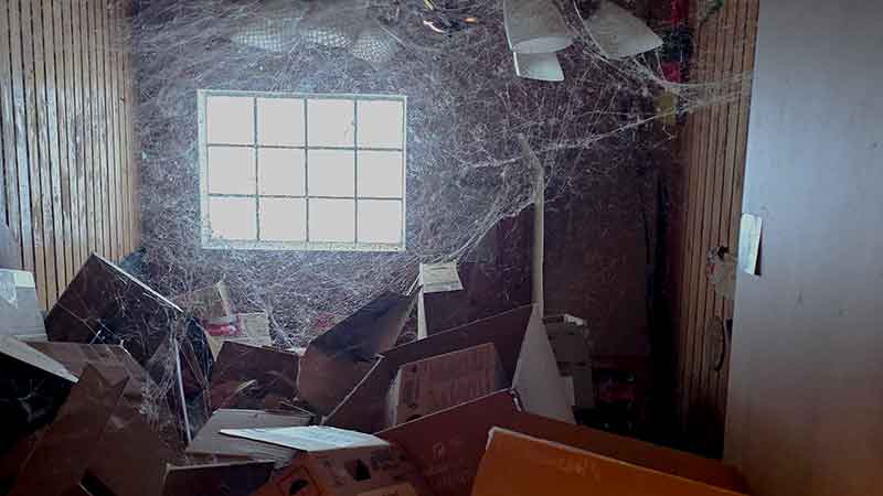 1 messiewohnung entruempeln vorher