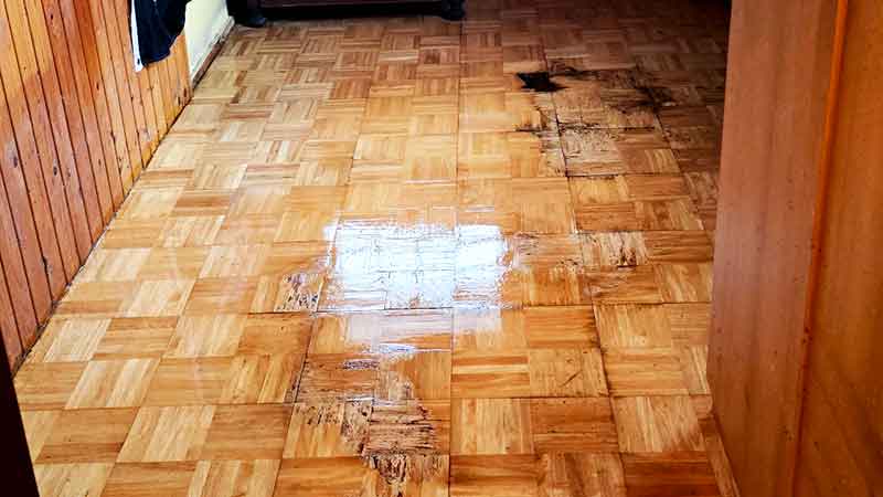 3 messiewohnung entruempeln holm grundreinigung