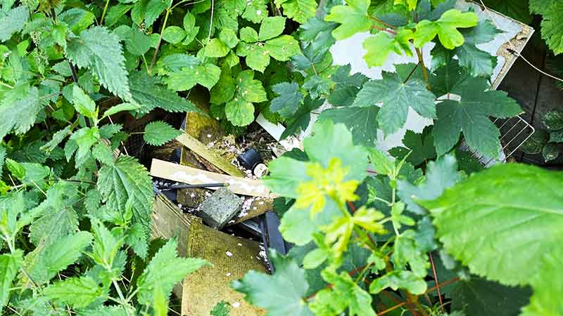 10 wedel aussenbereich entruempeln holzreste im gehoelz