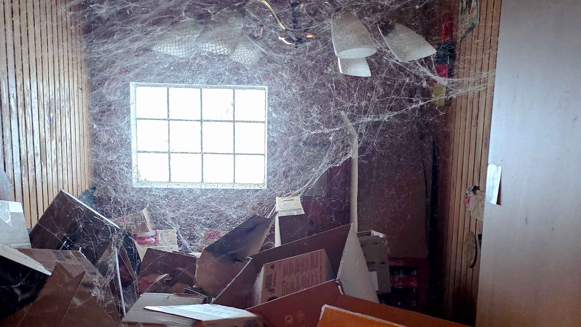 Holm: Wohnungsentrümpelung in Abwesenheit